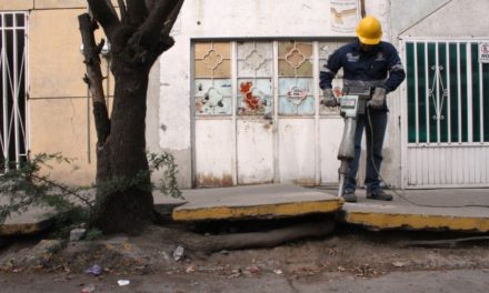 MUNICIPIO BRINDA ASESORÍA SOBRE ÁRBOLES APTOS PARA BANQUETAS