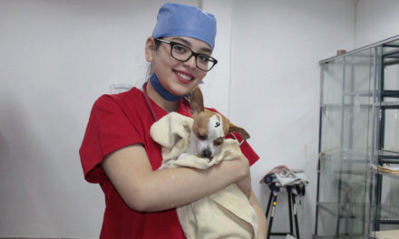 Anuncia Municipio de Aguascalientes 1era campaña de esterilización canina y felina gratuita 2020