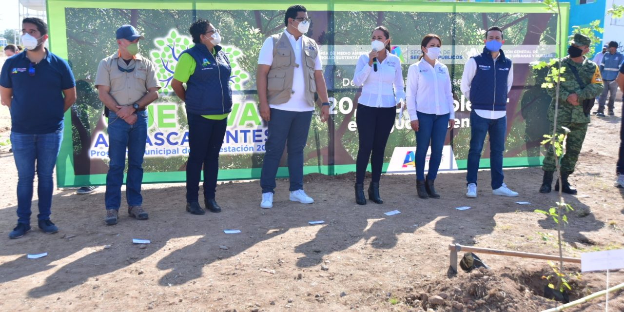 SUPERA MUNICIPIO META DE REFORESTACIÓN CON MÁS DE 20 MIL NUEVOS ÁRBOLES