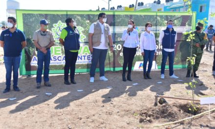 SUPERA MUNICIPIO META DE REFORESTACIÓN CON MÁS DE 20 MIL NUEVOS ÁRBOLES