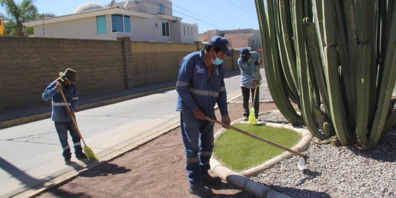 INTENSIFICA MUNICIPIO MANTENIMIENTO EN ÁREAS VERDES