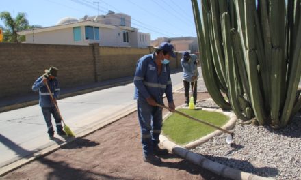INTENSIFICA MUNICIPIO MANTENIMIENTO EN ÁREAS VERDES
