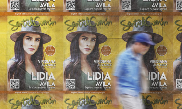Lidia Ávila: Se reinventa