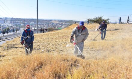 MUNICIPIO DE AGUASCALIENTES REALIZÓ BRIGADA DE LIMPIEZA EN PENSADORES MEXICANOS