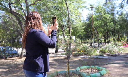 IMPARTE MUNICIPIO DE AGUASCALIENTES TALLERES DE EDUCACIÓN AMBIENTAL