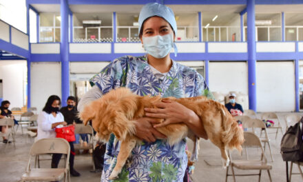 MUNICIPIO SUMA ESFUERZOS PARA CUIDAR LA SALUD DE LAS MASCOTAS