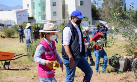 PRESIDENCIA MUNICIPAL CONTINÚA TRABAJANDO EN LA LIMPIEZA DE ESPACIOS Y CAMINOS SEGUROS PARA TRÁNSITO PEATONAL