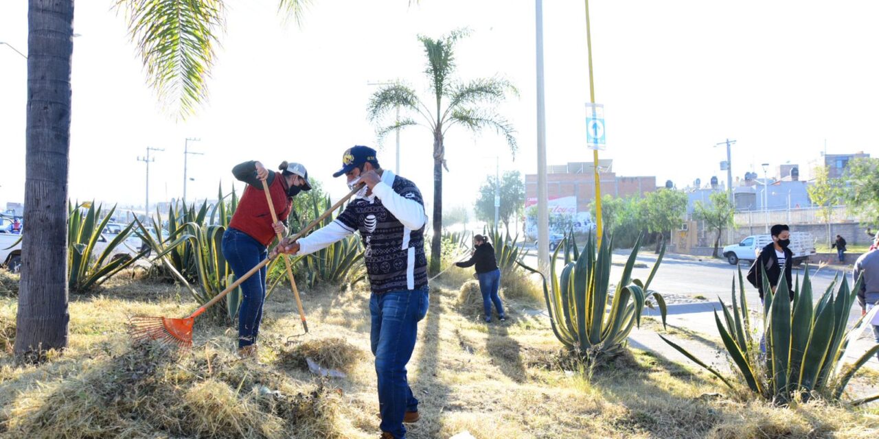 PROFUNDIZA MUNICIPIO DE AGUASCALIENTES ACCIONES DE LIMPIEZA, DESMALEZADO Y PODA EN LA CIUDAD
