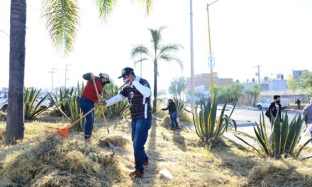 PROFUNDIZA MUNICIPIO DE AGUASCALIENTES ACCIONES DE LIMPIEZA, DESMALEZADO Y PODA EN LA CIUDAD