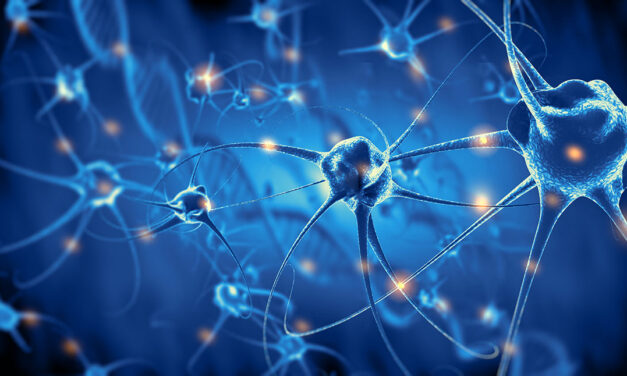 Fitness cerebral