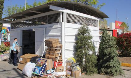 MUNICIPIO PONE EN MARCHA PROGRAMA ANUAL DE RECEPCIÓN DE ÁRBOLES NATURALES NAVIDEÑOS