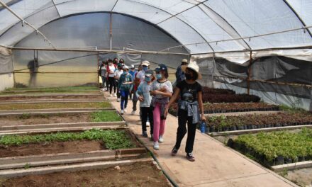 REANUDAN VISITAS GUIADAS EN EL JARDÍN DIDÁCTICO DEL VIVERO MUNICIPAL