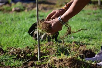 400 ÁRBOLES PLANTÓ MUNICIPIO EN EL ARRANQUE DEL PROGRAMA  DE ARBORIZACIÓN 2022 «DEJANDO VIDA»