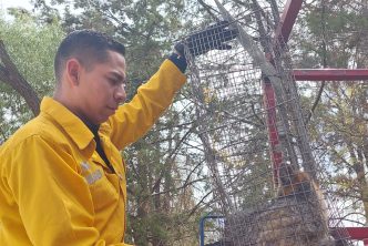 ALERTA PROTECCIÓN CIVIL MUNICIPAL ANTE LA PRESENCIA DE ANIMALES SILVESTRES EN LA MANCHA URBANA