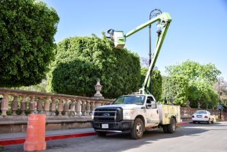 COMIENZA SERVICIOS PÚBLICOS TRABAJOS DE MANTENIMIENTO INTEGRAL EN EL JARDÍN DE SAN MARCOS