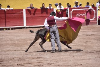 INVITA LA ACADEMIA TAURINA MUNICIPAL DE AGUASCALIENTES A EVENTO DE TENTADEROS PÚBLICOS