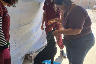 REALIZA MUNICIPIO CAMPAÑA DE ESTERILIZACIÓN CANINA Y FELINA EN DELEGACIONES RURALES