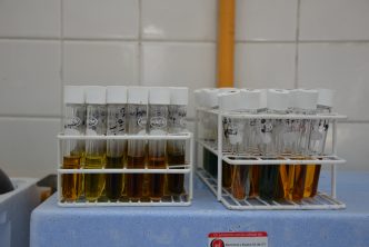 AVANZA MUNICIPIO EN LA MEJORA DEL SISTEMA DE GESTIÓN DE CALIDAD Y SANEAMIENTO DEL AGUA