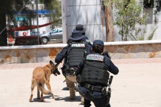CERTIFICAN A BINOMIOS CANINOS DE LA POLICÍA MUNICIPAL DE AGUASCALIENTES EN TÉCNICAS DE INTERVENCIÓN AVANZADAS