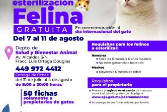 MUNICIPIO CELEBRARÁ DÍA INTERNACIONAL DEL GATO CON JORNADA DE ESTERILIZACIÓN GRATUITA