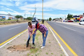 INICIA JORNADA DE REFORESTACIÓN EN ZONAS RURALES DEL MUNICIPIO DE AGUASCALIENTES