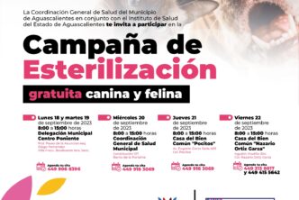 ANUNCIA MUNICIPIO LA REALIZACIÓN DE MÁS DE 300 ESTERILIZACIONES CANINAS Y FELINAS EN SEPTIEMBRE