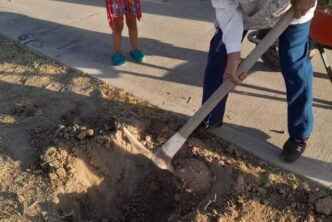 FINALIZA JORNADA DE ARBORIZACIÓN EN LA DELEGACIÓN MUNICIPAL SALTO DE LOS SALADO