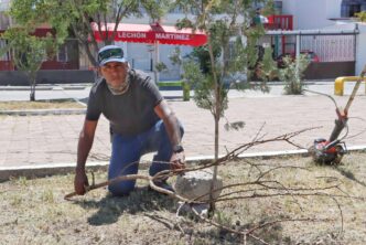 CONTRATA MUNICIPIO NUEVO PERSONAL PARA MANTENIMIENTO Y MEJORA DE ESPACIOS PÚBLICOS