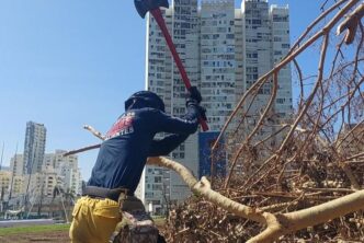 BRIGADA DE EMERGENCIA DE AGUASCALIENTES AYUDA A ELIMINAR RIESGOS EN EL CENTRO INTERNACIONAL ACAPULCO