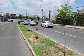 REFUERZA MUNICIPIO DE AGUASCALIENTES ACCIONES DE REFORESTACIÓN