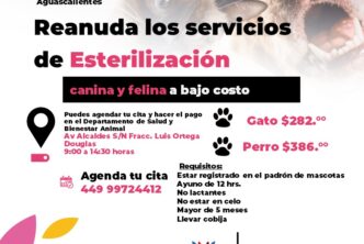 OFRECE MUNICIPIO SERVICIO DE ESTERILIZACIÓN CANINA Y FELINA A BAJO COSTO