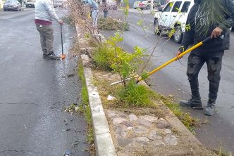 IMPLEMENTA MUNICIPIO ÁREA ESPECIALIZADA EN EL MANTENIMIENTO Y EMBELLECIMIENTO DE ESPACIOS URBANOS