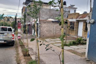 CADA VEZ MÁS FAMILIAS SUMAN ACCIONES CON EL MUNICIPIO EN EL PROGRAMA “EL ÁRBOL DE MI CASA”