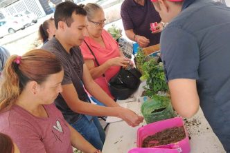 FOMENTA LÍNEA VERDE LA CULTURA AMBIENTAL CON ACCIONES DE CUIDADO DE ÁRBOLES Y PLANTAS