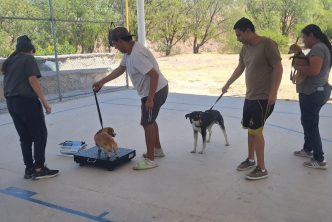 INVITA MUNICIPIO A APROVECHAR LOS SERVICIOS GRATUITOS DE LA CLÍNICA VETERINARIA MÓVIL