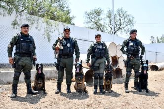 POLICÍA MUNICIPAL DA LA BIENVENIDA A NUEVOS INTEGRANTES CANINOS DEL GRUPO ESPECIAL K9