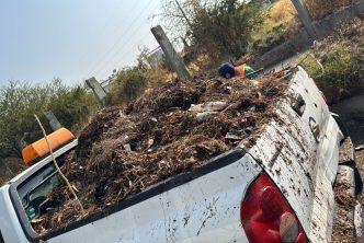 INTENSIFICA MUNICIPIO LIMPIEZA DE CAIMANES Y CANALETAS
