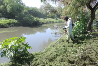 IMPLEMENTA MUNICIPIO MEGAOPERATIVO DE LIMPIEZA PARA MEJORAR EL ENTORNO DEL RÍO SAN PEDRO