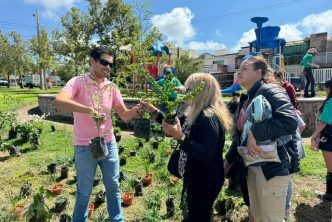 REALIZARÁN REFORESTACIÓN COMUNITARIA EN LA LÍNEA VERDE
