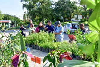 MÁS DE 20 MIL PLANTAS ENTREGADAS EN EL PROGRAMA DE DONACIÓN DEL VIVERO MUNICIPAL 2025