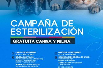 ABREN NUEVAS FECHAS PARA ESTERILIZACIONES GRATUITAS PARA CANINOS Y FELINOS