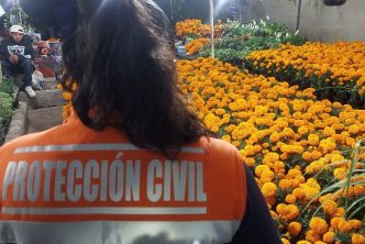 ARRANCARÁ LA INSTALACIÓN DEL TRADICIONAL TIANGUIS DE LOS MUERTITOS 2025
