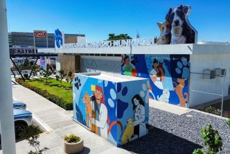 MIL 872 SERVICIOS BRINDÓ EL HOSPITAL VETERINARIO MUNICIPAL ESTE 2025