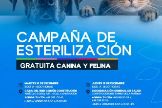 MUNICIPIO E ISSEA REALIZARÁN JORNADAS DE ESTERILIZACIONES CANINAS Y FELINAS EN LA CONSTITUCIÓN Y LA PURÍSIMA