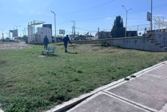 INTENSIFICA MUNICIPIO CUIDADO DE ÁREAS NATURALES EN LA LÍNEA VERDE