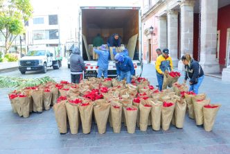 COLOCA MUNICIPIO DE AGUASCALIENTES EN EL PRIMER CUADRO DE LA CIUDAD FLORES DE NOCHEBUENA
