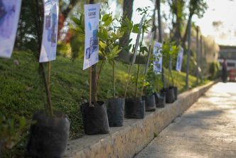 SEGUIMOS TRABAJANDO POR EL MEDIO AMBIENTE: LEO MONTAÑEZ