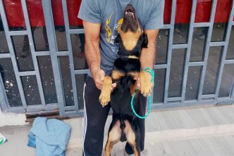LLEGARÁN NUEVOS SERVICIOS DE ESTERILIZACIÓN CANINA Y FELINA A VILLAS DE NUESTRA SEÑORA DE LA ASUNCIÓN