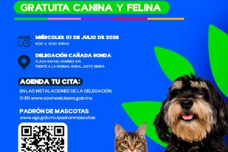 MUNICIPIO E ISSEA REALIZARÁN NUEVA JORNADA DE ESTERILIZACIÓN CANINA Y FELINA EN CAÑADA HONDA