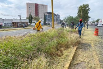 MUNICIPIO REALIZÓ MEGA OPERATIVO DE LIMPIEZA Y MANTENIMIENTO EN LA CARRETERA 45 SUR